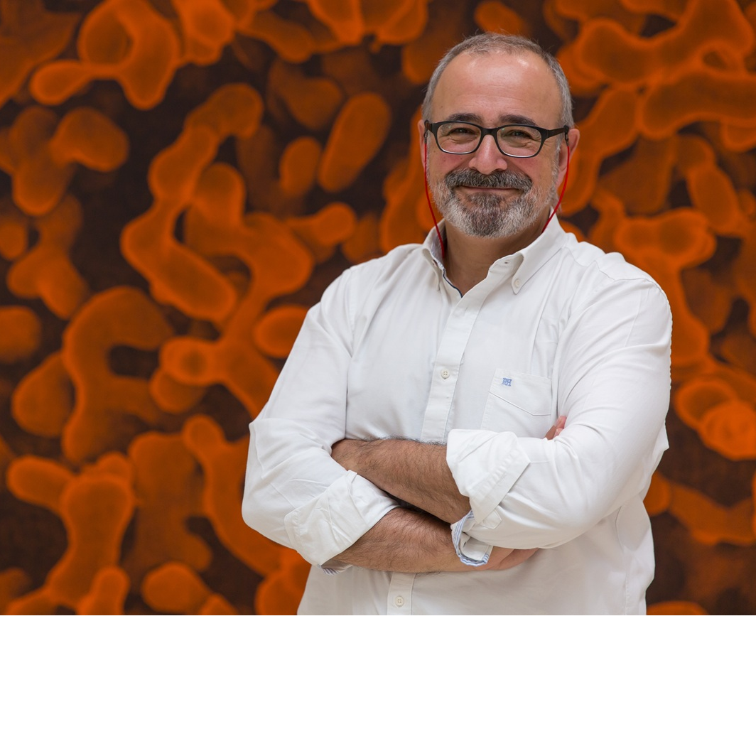 El microbiólo Ignacio López Goñi, sobre el hantavirus del crucero episode artwork