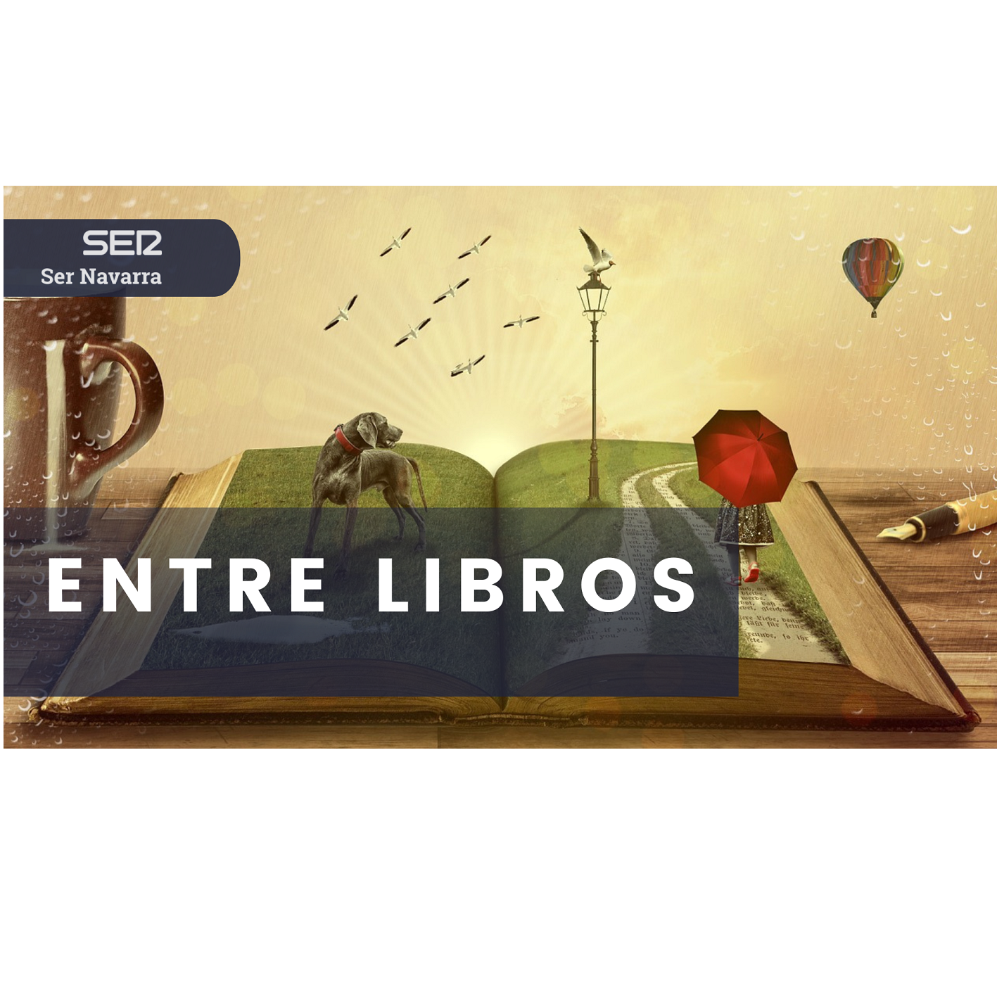 Entre libros: “Los libros como museos de bolsillo”, con Gael Zamora episode artwork