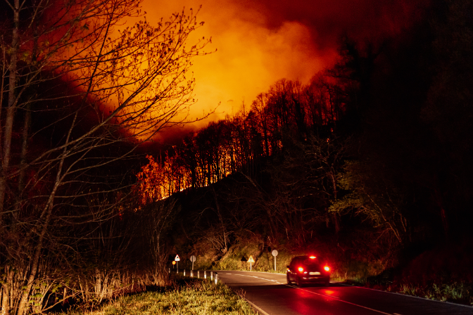 Incedios forestales: luchar contra el caos