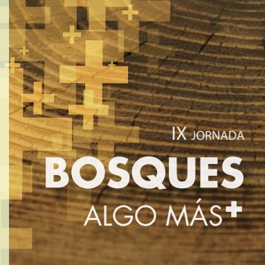 IX Jornada “Bosques, algo más”, oportunidades de gestión forestal, innovación, artísticas y gastronómicas