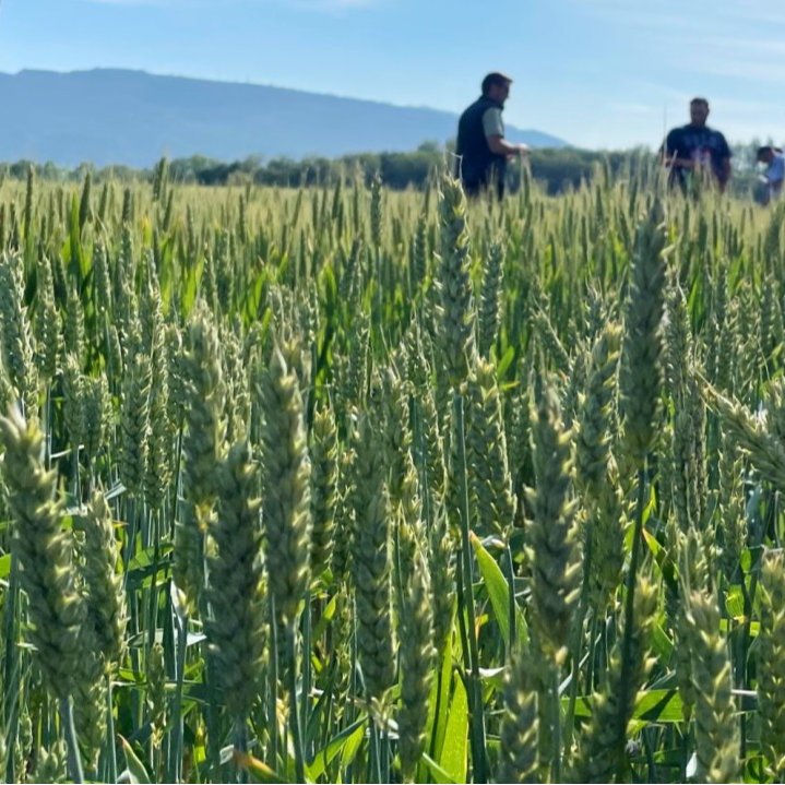 "Con los pies en la Tierra": Agricultura Regenerativa en Navarra