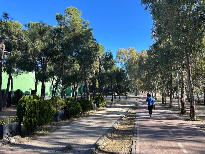 Zones verdes a prop de casa milloren el son episode artwork