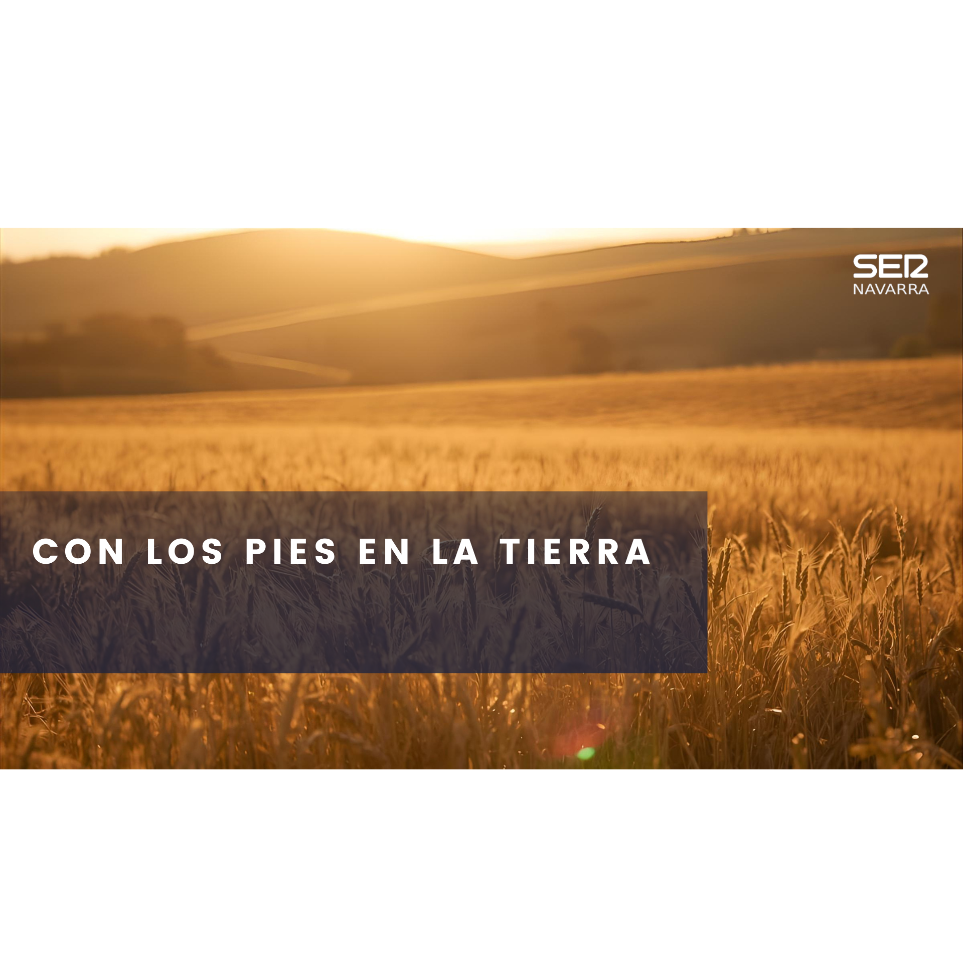 Con los Pies en la Tierra: Retos del Cooperativismo Agrario en Navarra episode artwork