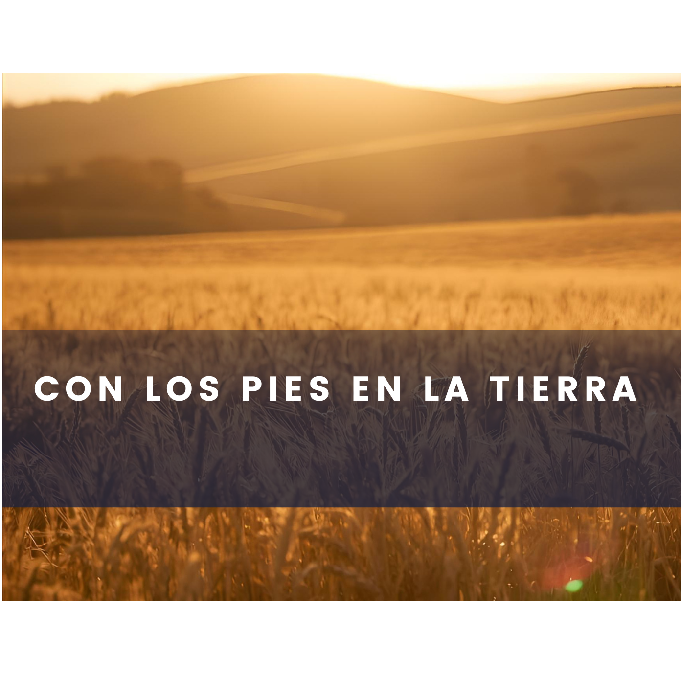 Con los Pies en la Tierra: Programa LIFE de la Unión Europea episode artwork