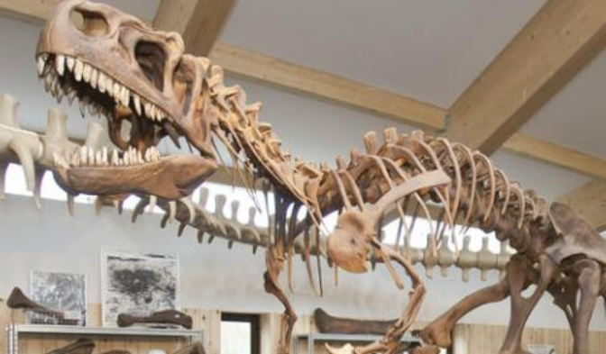 Enciso vuelve a rechazar la formación a alumnos en Paleontología por falta de vivienda: "Solo nos llegó una solicitud y no cumplía las condiciones" episode artwork