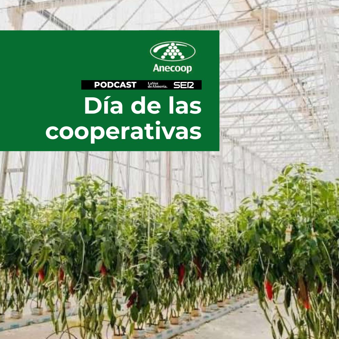 Anecoop - Dia Mundial de las cooperativas episode artwork