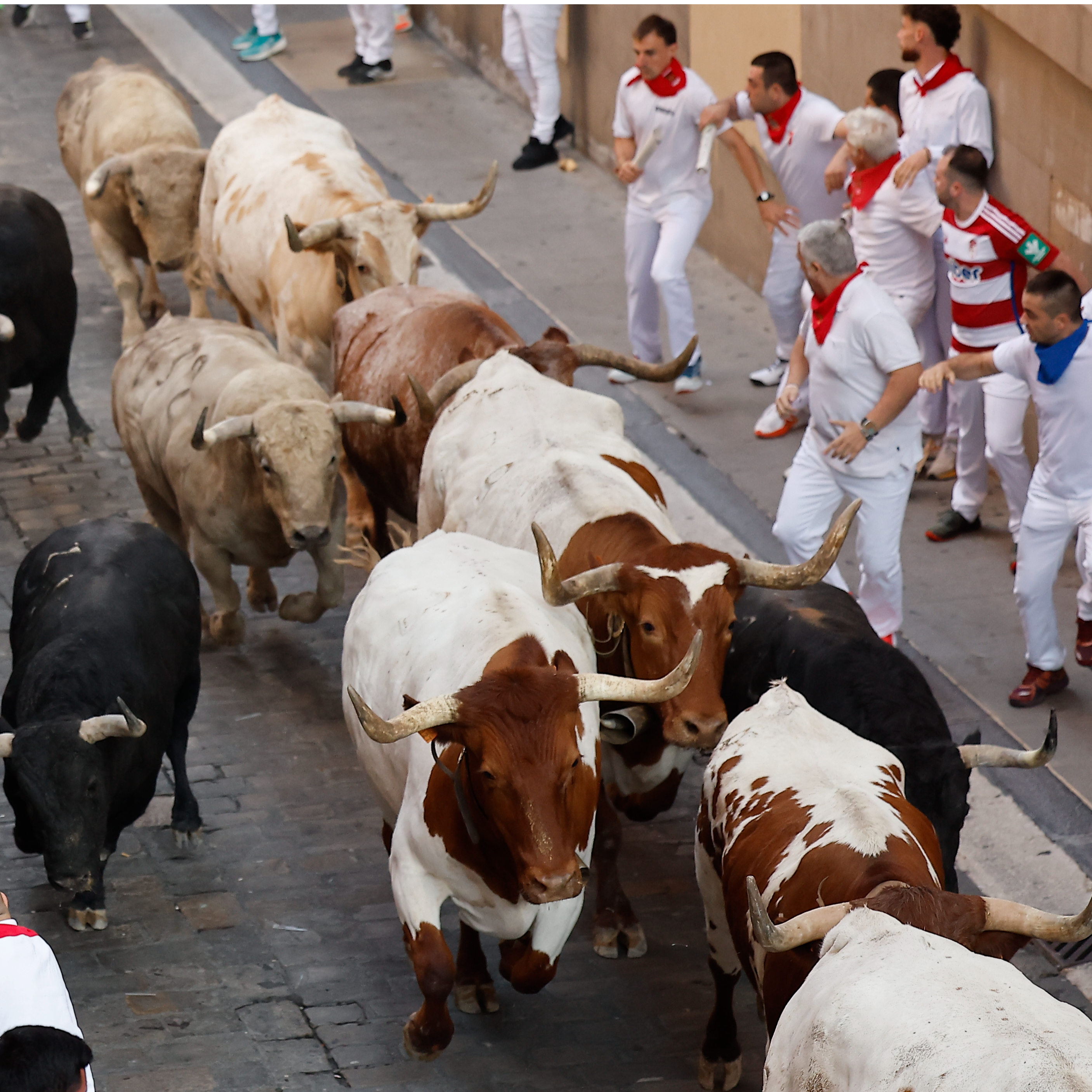 Primer encierro Sanfermines 2026: Fuente Ymbro episode artwork