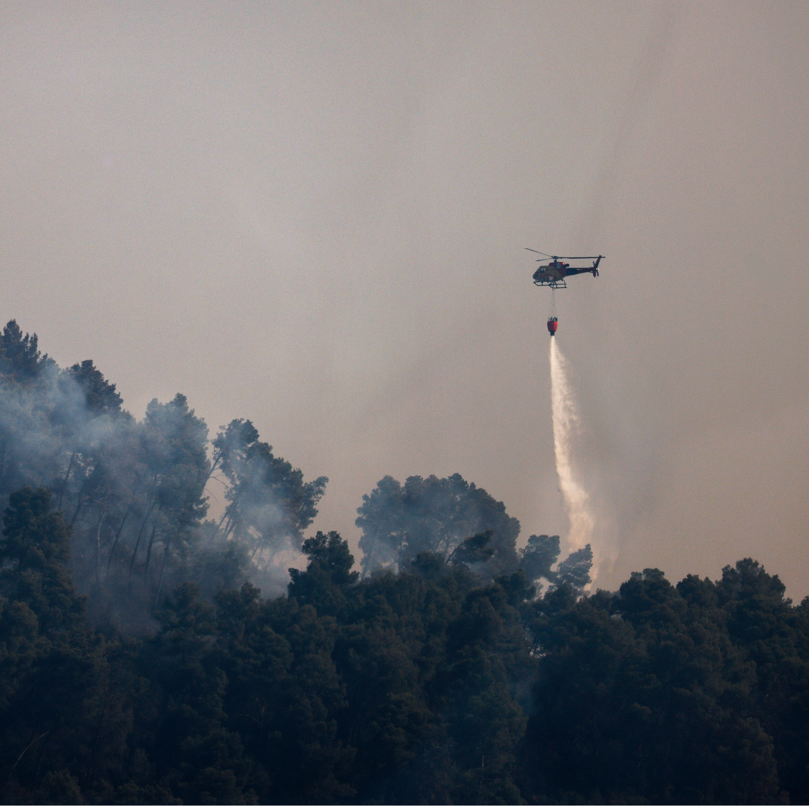 La Ventana a las 16h | Hay que invertir menos en medios de extinción y más en gestión del combustible la opinión de un experto en ingeniería forestal sobre la gestión de los "megaincendios"