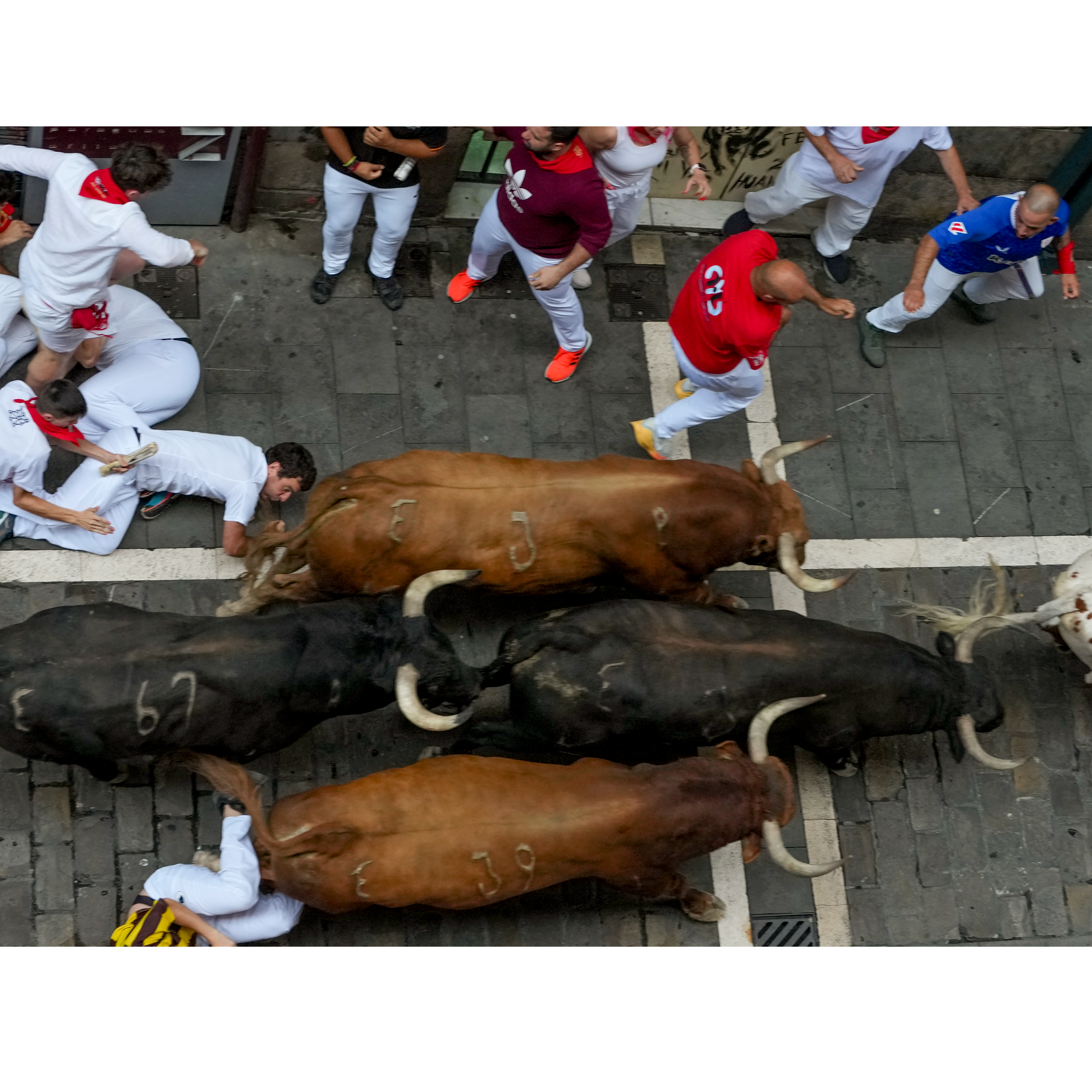 Cuarto encierro Sanfermines 2026: Álvaro Núñez episode artwork