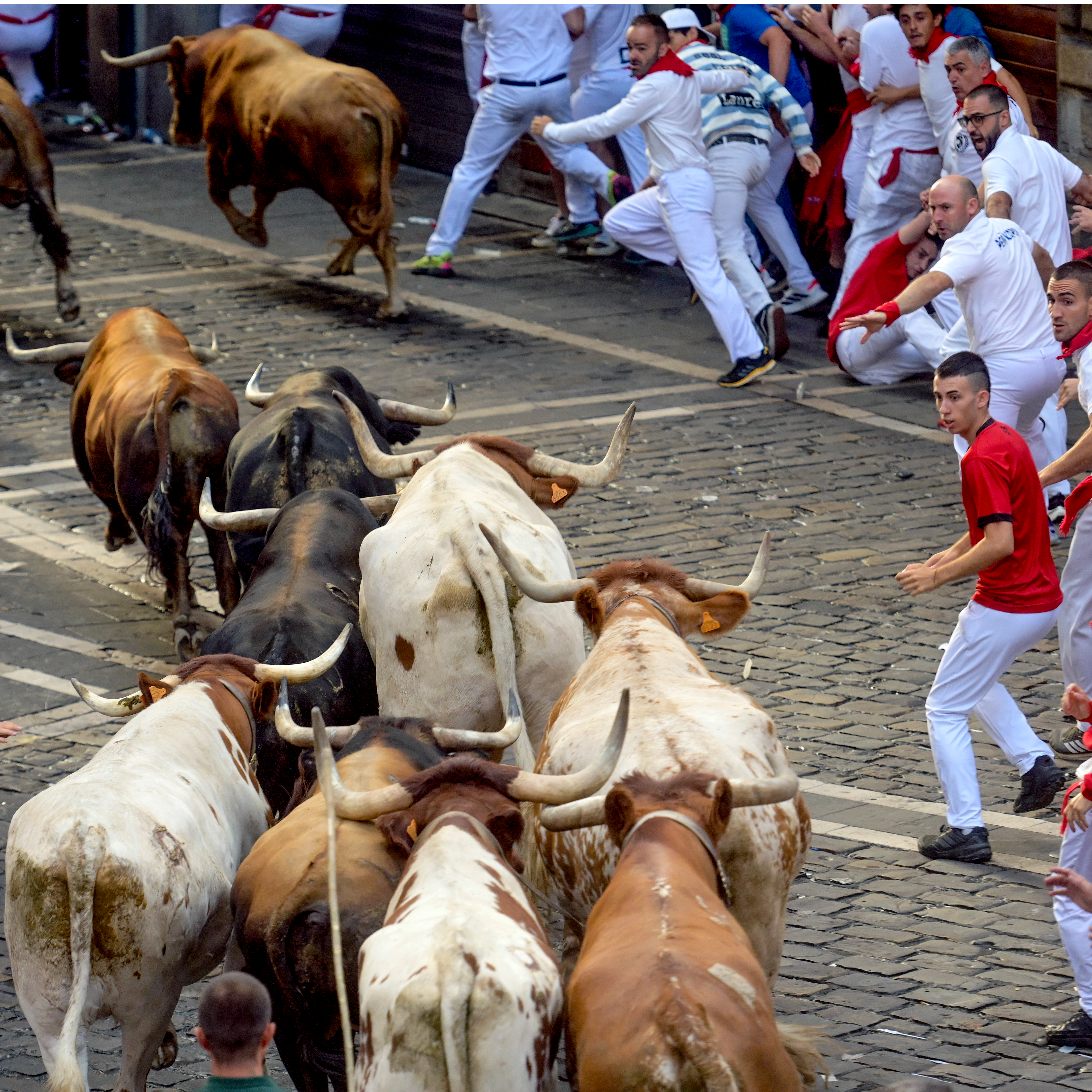 Sexto encierro Sanfermines 2026: La Palmosilla