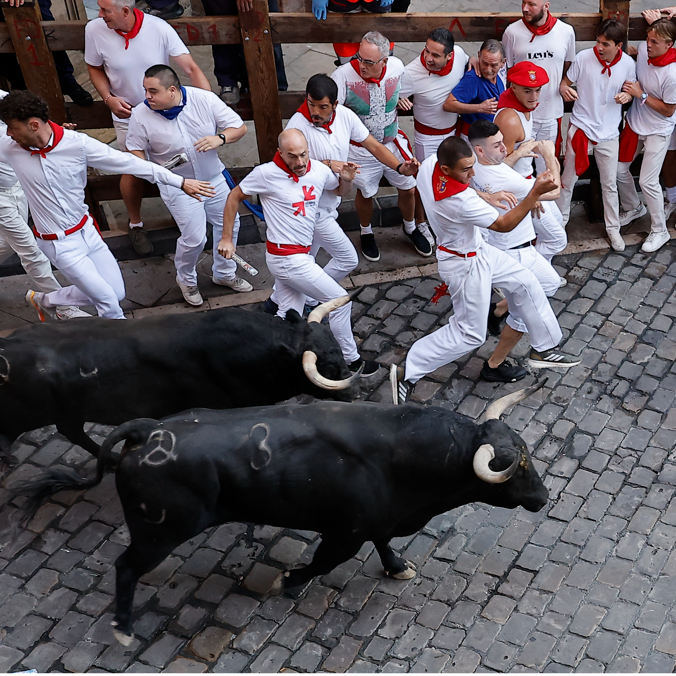 Octavo encierro Sanfermines 2026: Jandilla