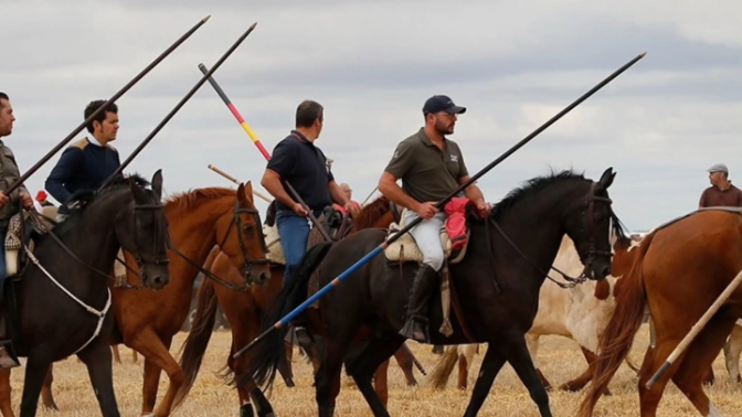 Villaverde de Medina se prepara para sus Fiestas de la Virgen del Carmen con el toro como protagonista episode artwork