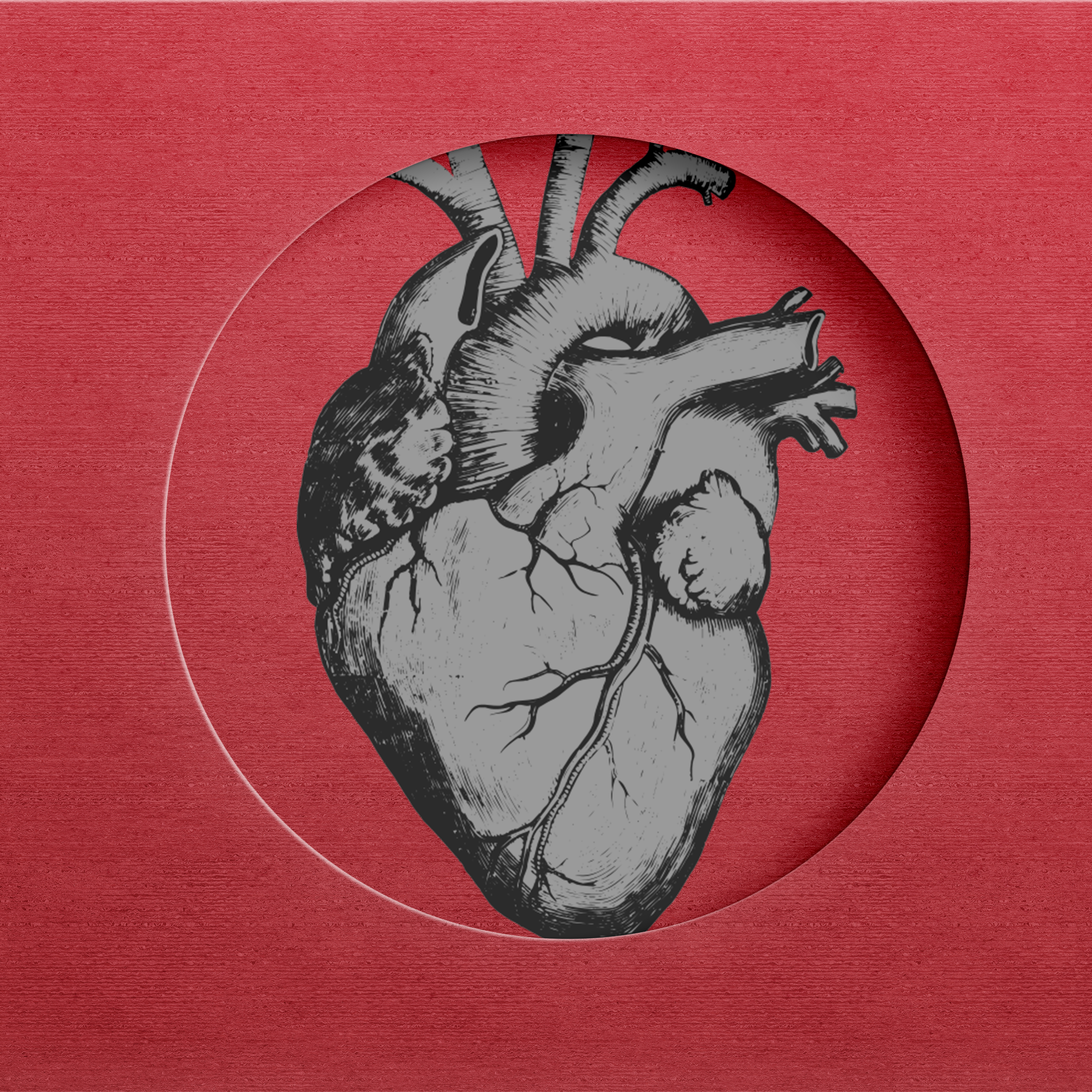 "Soy cardiólogo y sigo sin entenderlo": la gran pregunta sobre el corazón que no puede responder ni Valentín Fuster
