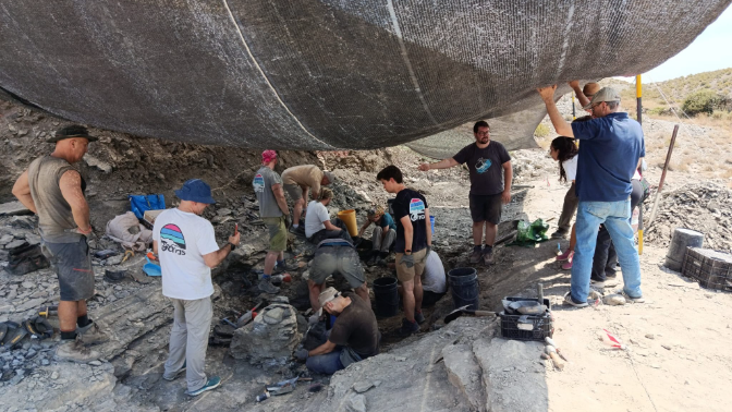La nueva campaña de excavaciones en Igea permite avanzar en la descripción de una nueva especie de dinosaurio episode artwork