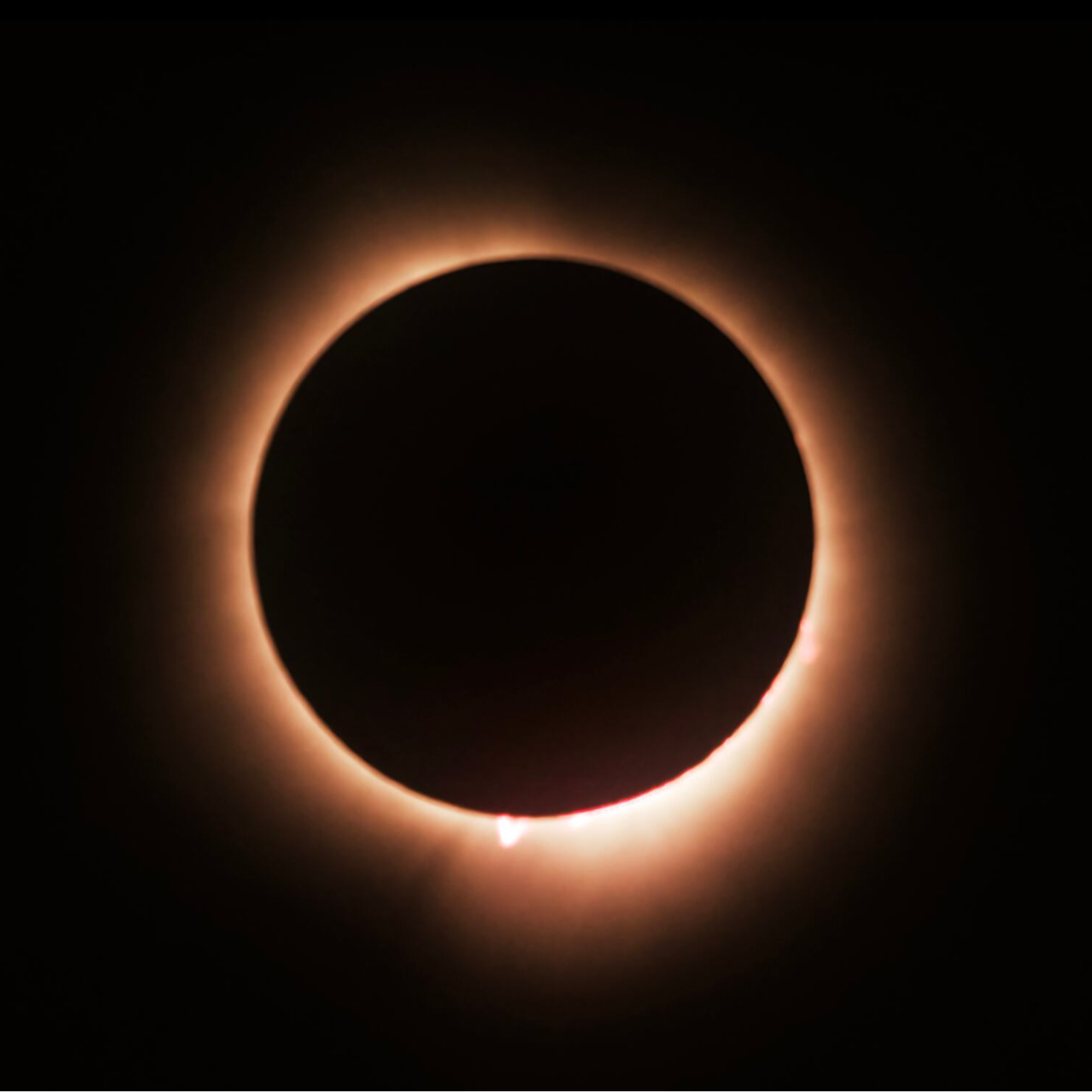 La Ventana a las 16h | "Hay que fijarse en las etiquetas": las recomendaciones de una experta para identificar las gafas aptas para ver el eclipse