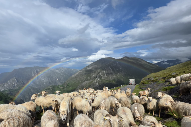 “Haz la foto, pero mantén la distancia”: la llamada de la ganadera Nélida Roiz a los turistas que visitan Cantabria episode artwork