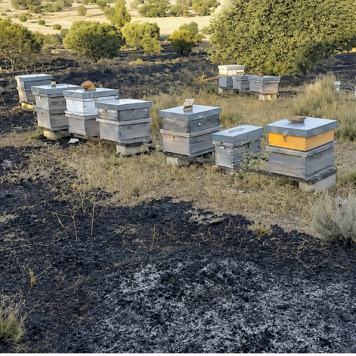 Benjamín y Javier, historias humanas del incendio en Lozoyuela, en plena sierra norte de Madrid.