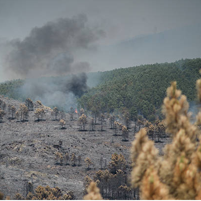 La Ventana a las 16h | "Se sabía que esto podía pasar": el lamento de los vecinos afectados por el incendio en La Mierla