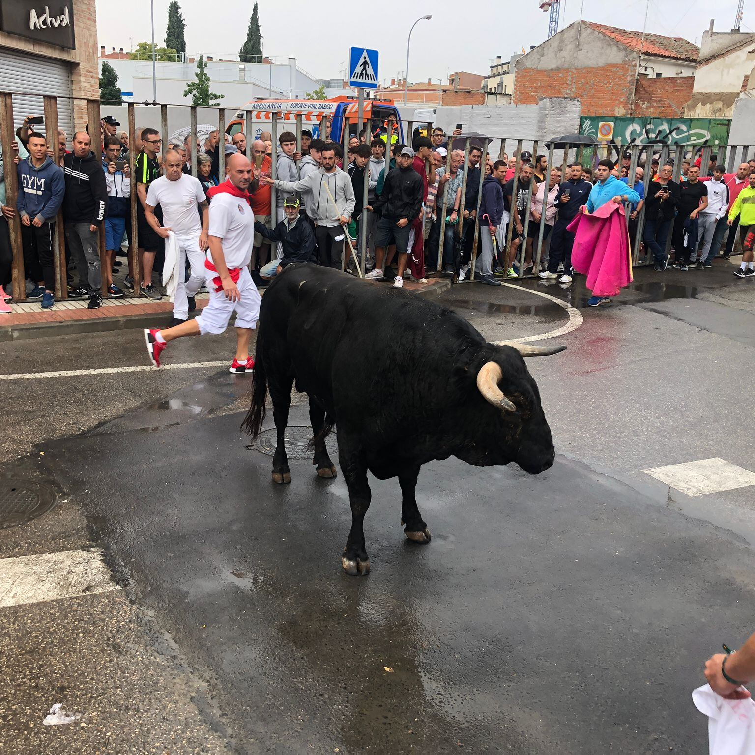 Entrevistamos a El Javi, empresario que organiza los festejos taurinos en Fuenlabrada