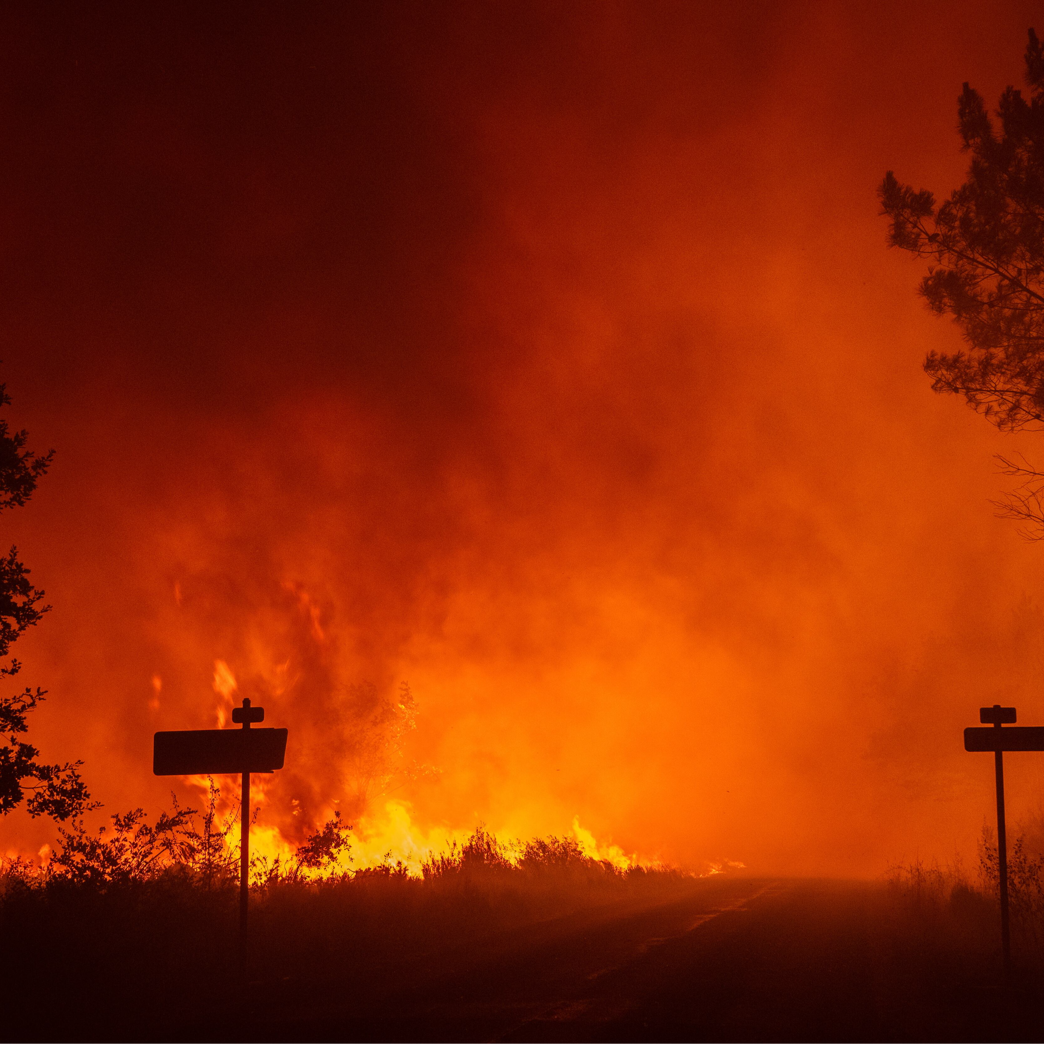 Moisés Álvarez de Protección Civil de Alcobendas ofrece consejos para proteger nuestras casas de incendios forestales. episode artwork