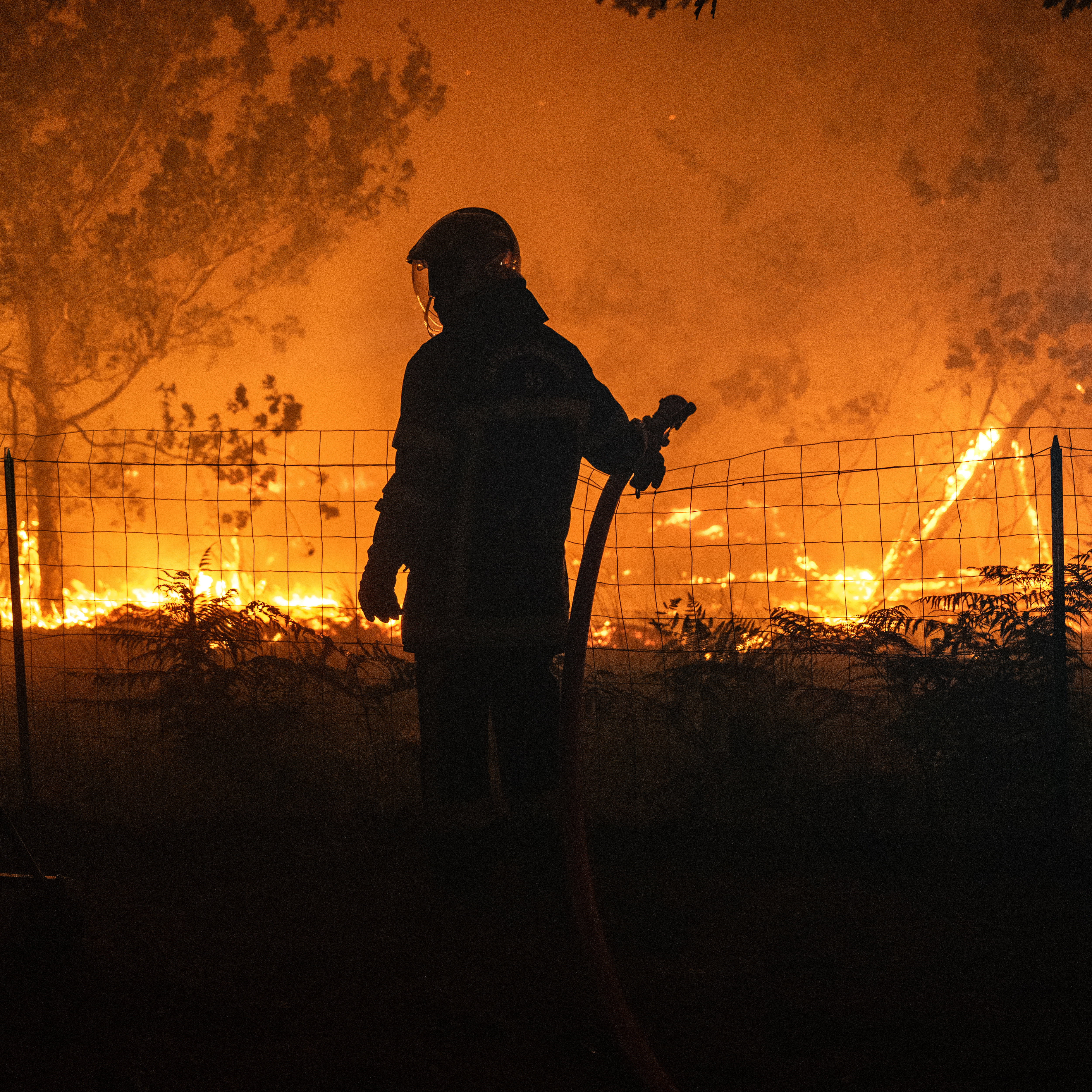 Hora 14 | "Podemos llegar a incendios de un millón de hectáreas": ¿por qué es tan peligrosa la unión de dos frentes de fuego?