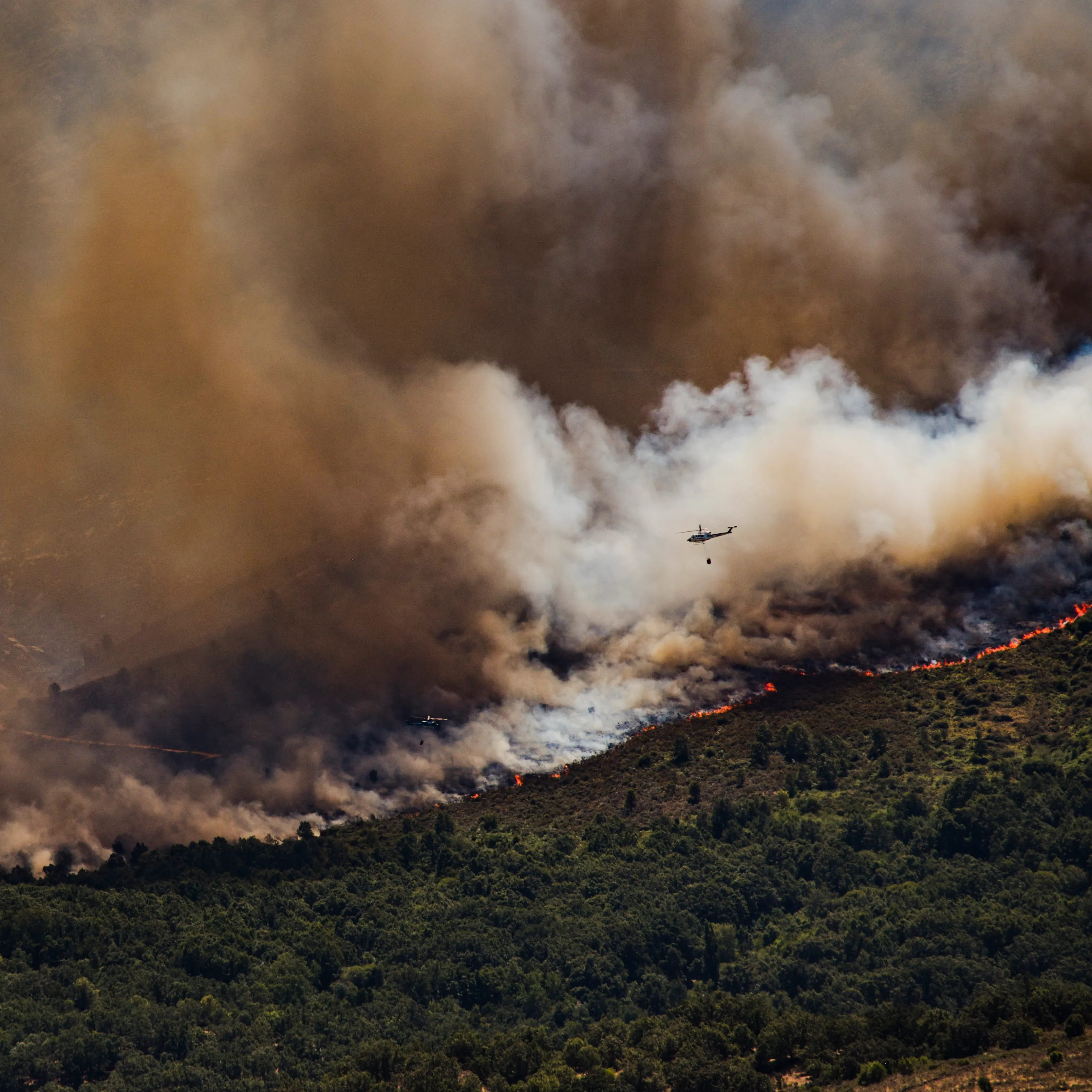 La Ventana a las 16h | "Solo se ve humo donde antes era todo bosque": los afectados por los incendios de Madrid y Ávila cuentan de primera mano la situación en sus localidades