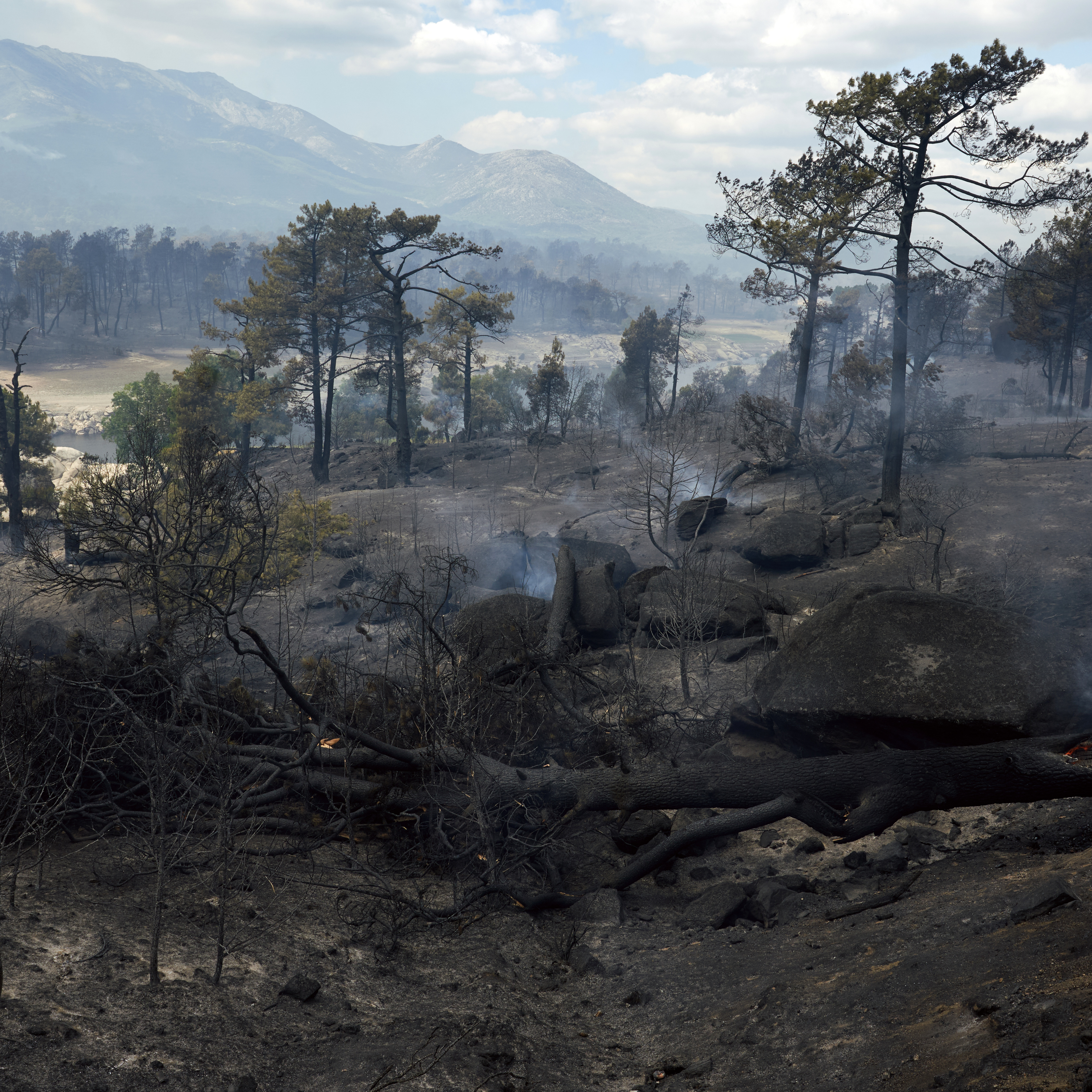 El secretario de Estado de Medio Ambiente señala el cambio en la lucha contra los incendios: "Estamos en una crisis climática y esta es la situación que vamos a vivir"