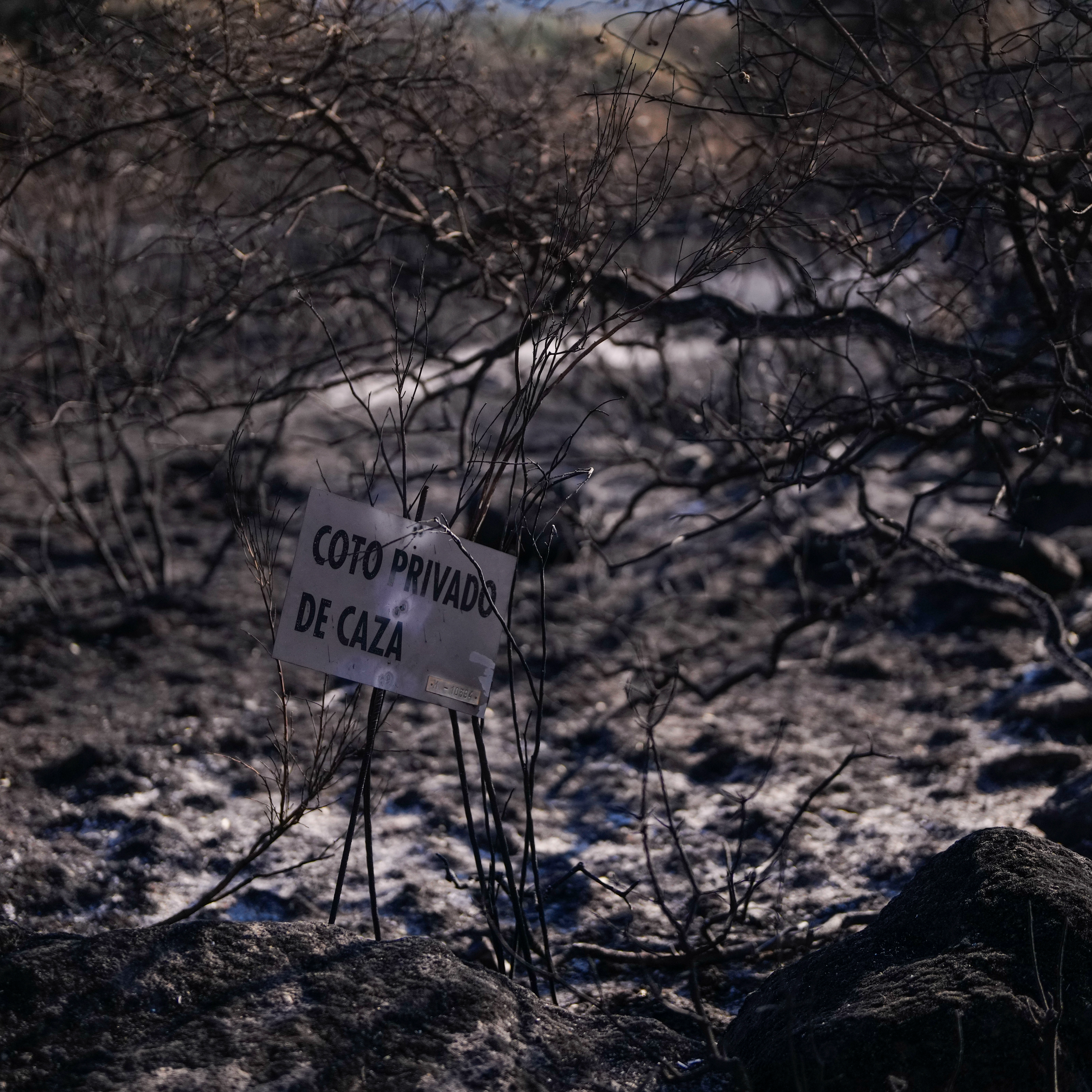 Julio Prieto, Ingeniero agrónomo y viticultor: "La discontinuidad en los paisajes es fundamental para prevenir incendios" episode artwork