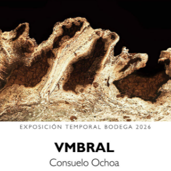 'Vmbral', un espacio de fotografía en Tudela episode artwork