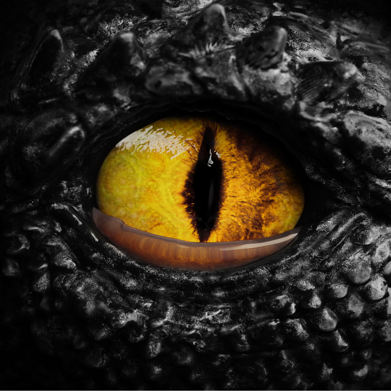 Los modelos | Dinosaurios y dragones, dos primos hermanos