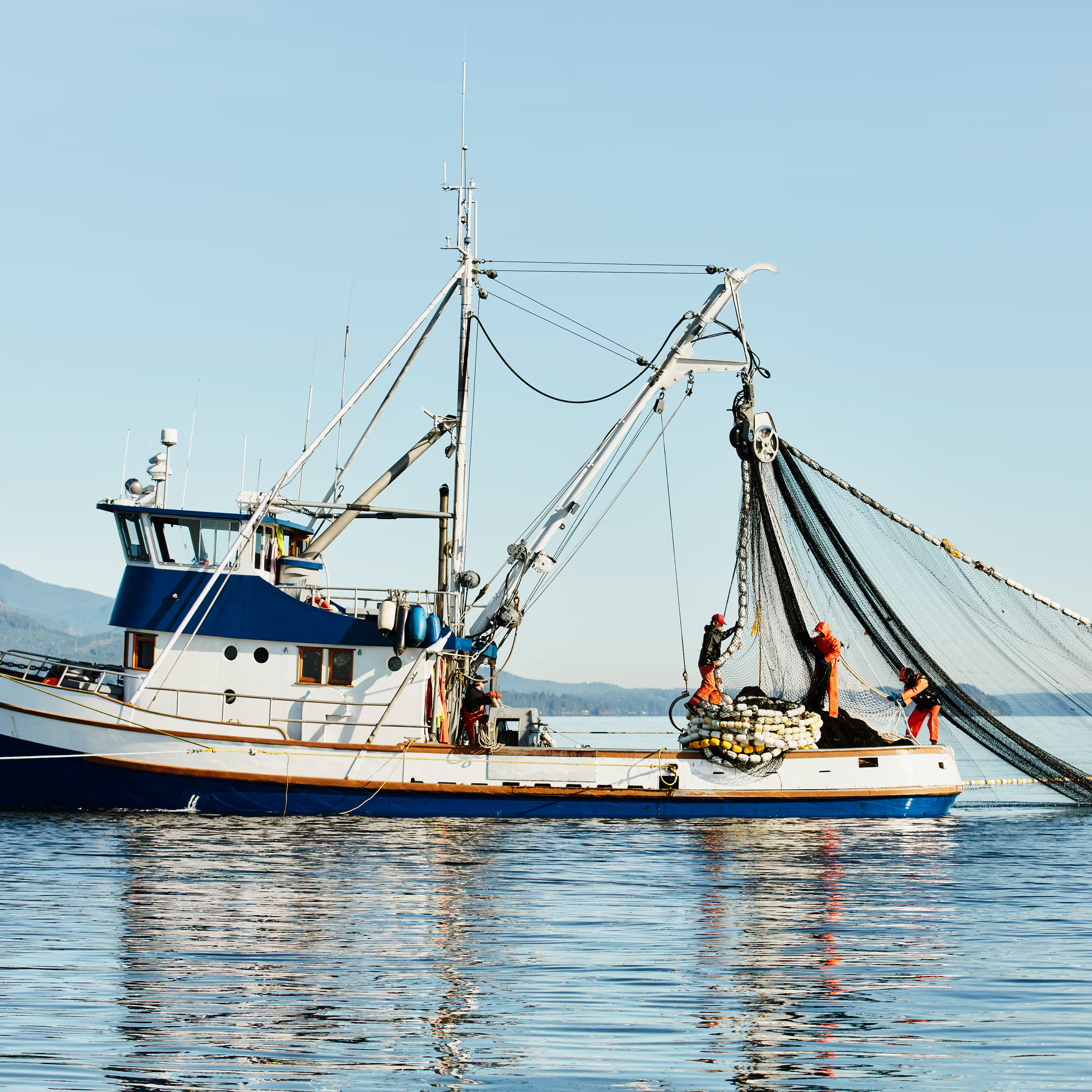 Imagen de El mar se calienta y los peces se marchan: el impacto del cambio climático en la pesca
