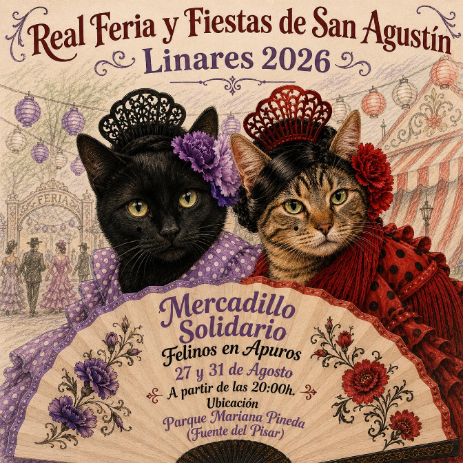 Entrevista a Tati Tudela, tesorera de Felinos en apuros. Mercadillo solidario en la Feria de Linares episode artwork