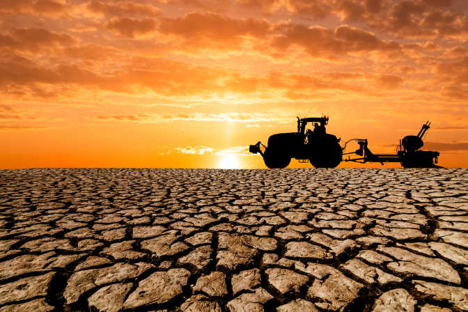 De Temporada: com afecta la calor als cultius episode artwork