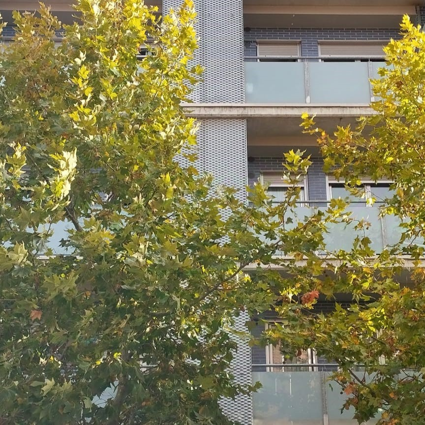 ¿Es verdaderamente útil un Pacto de Ciudad por el Clima en Pamplona?