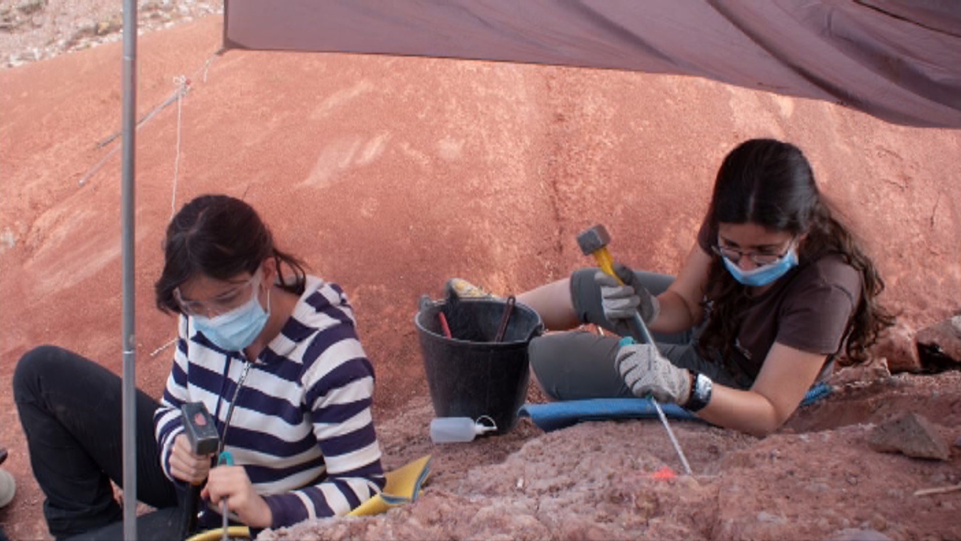 encontrados 40 huevos de dinosaurio en Loarre