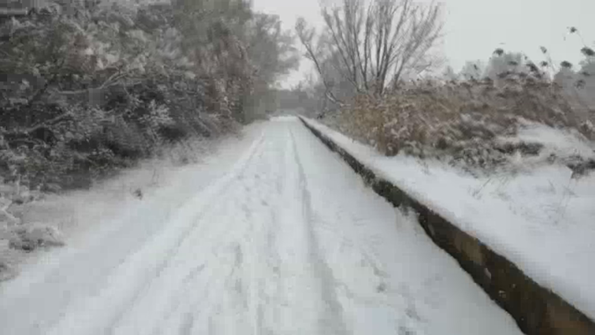 Imagen poco habitual en la Alberca de Cortes