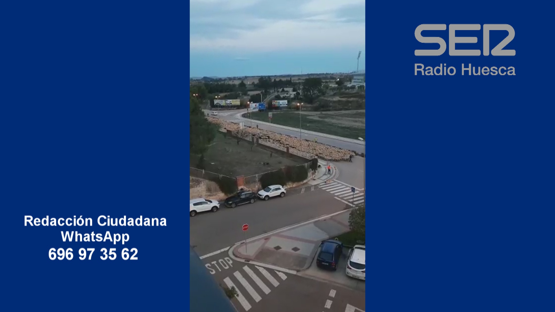 Rebaños por Huesca